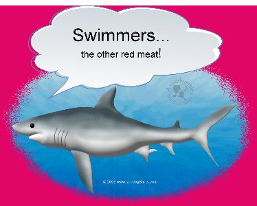 ../Images/swimmers meat shark L.jpg